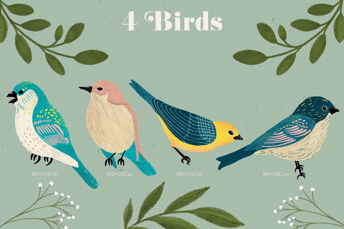 Birds and Blooms Collection, an Illustration by The Audacious Brush (Photo 9 of 10)