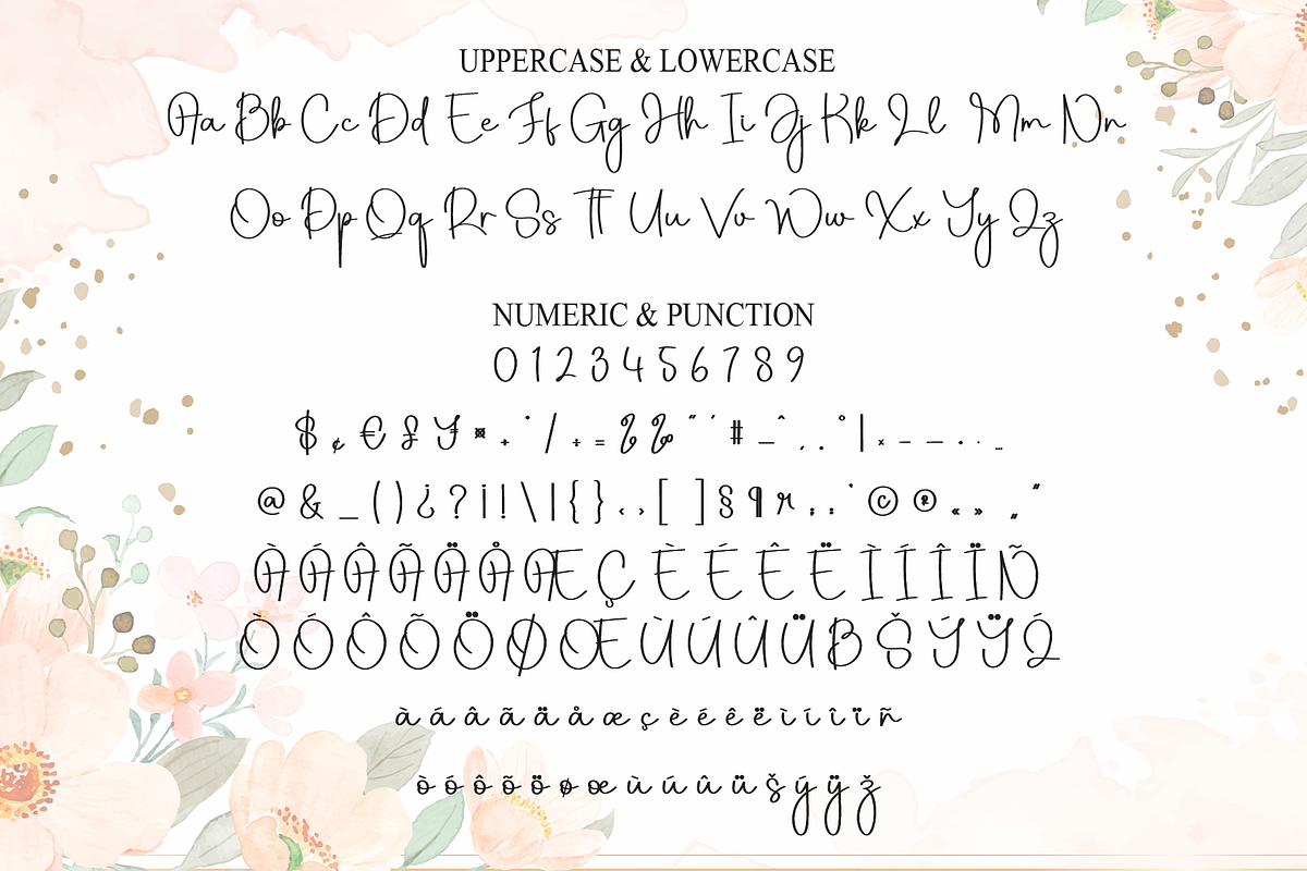 Delightful | Script Font, a Handwritten Font by Scratchones (Photo 7 of 7)