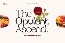 Opulent Ascend - 9 Font Family