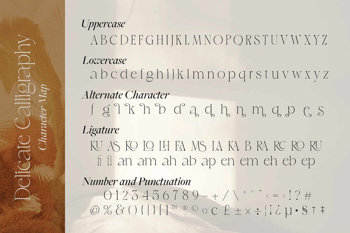 Delicate Calligraphy Elegant Serif, a Serif Font by Vampstudio (Photo 14 of 14)