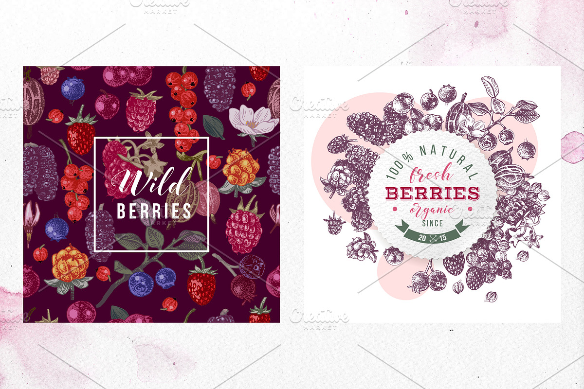 Fresh berries, a Food Illustration by handsketched (Photo 16 of 21)