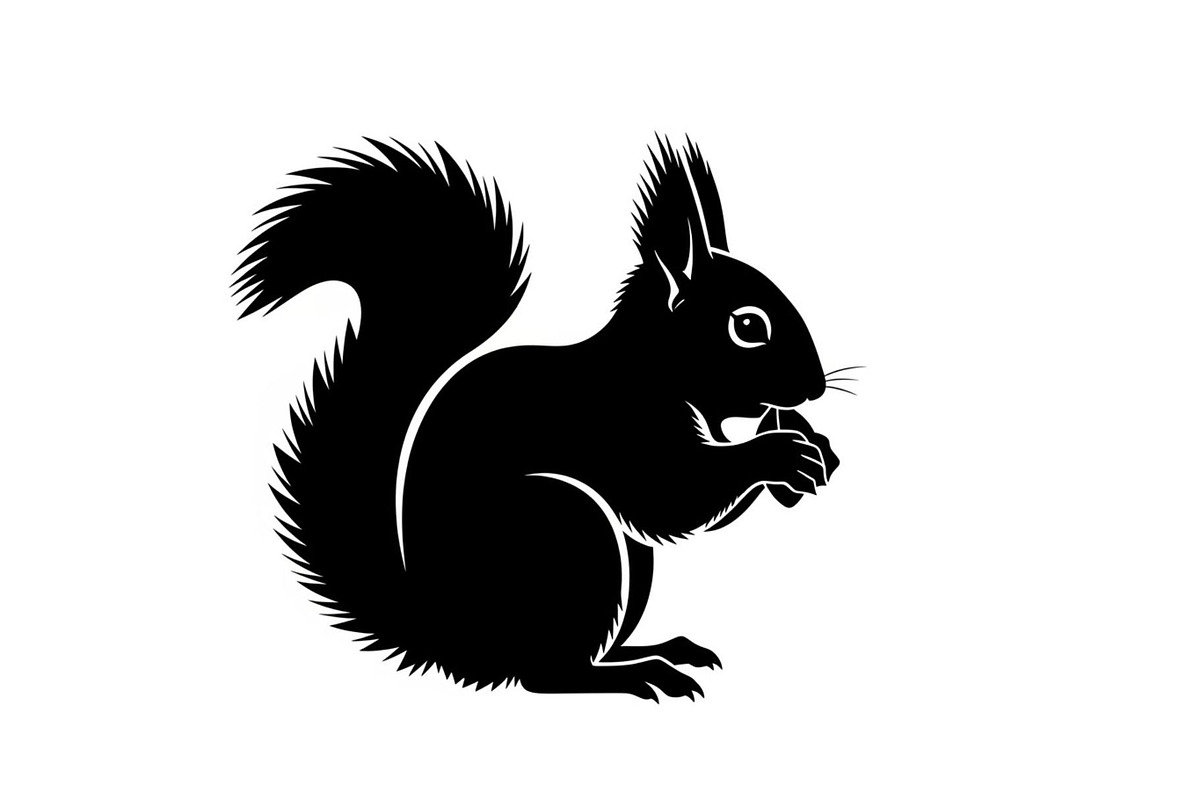Black Squirrel Vector Icon Bundle, an Illustration by jahid234 (Photo 44 of 51)
