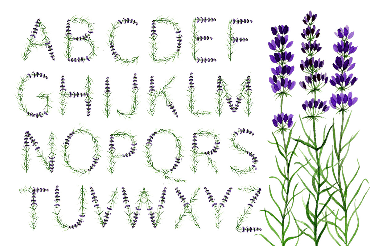 Lavender wreaths, alphabet, pattern, an Illustration by Floralis (Photo 2 of 6)