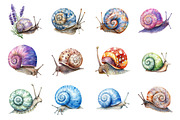 Watercolor Snail Clipart, an Illustration by Design Market (Thumbnail 3 of 4)