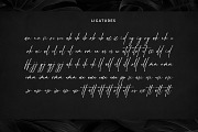 Chicnatures, a Script Font by Abo Daniel Studio (Thumbnail 14 of 16)