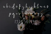 Hand Drawn Script Font Cashly, a Script Font by Aloha Philly (Thumbnail 2 of 4)