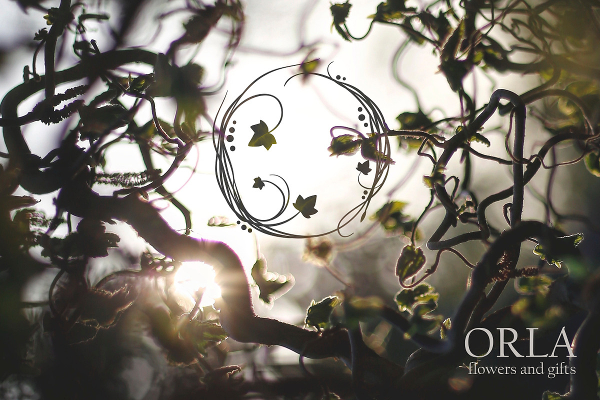 Magic Ivy botanical floral font preview 2