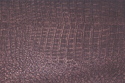Scales & Skins Textures, a Texture Graphic by Blue Line Design (Thumbnail 3 of 5)