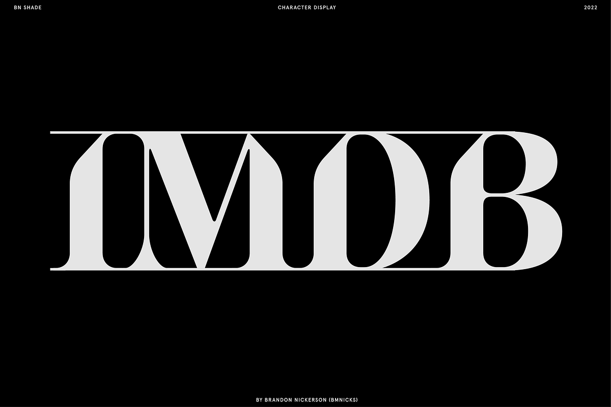 BN Killwit, a Serif Font by Bnick (Photo 11 of 13)