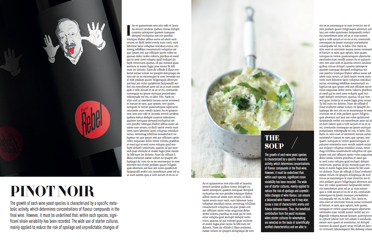 Magazine Template, a Magazine Template by Cristian Villegas Studio (Photo 8 of 14)
