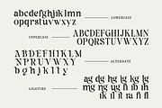 Mage - Modern Sharp Serif, a Serif Font by Pandeka Studio (Thumbnail 11 of 12)