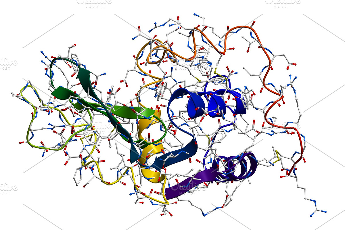Lysozyme, the natural antibacterial, a Food Illustration by Leonid Andronov