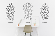 Katastrophe Font + Bonus, a Script Font by Flycatcher Design (Thumbnail 2 of 8)