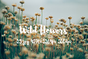 Wild Flowers II, a Templates & Theme by ApertureVintage (Thumbnail 7 of 14)