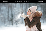 10 Snowy Lightroom Presets, a Plug-in Add-On by Prime Layers (Thumbnail 5 of 9)