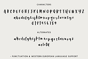 Nightwatch Script, a Script Font by Beck McCormick (Thumbnail 10 of 10)