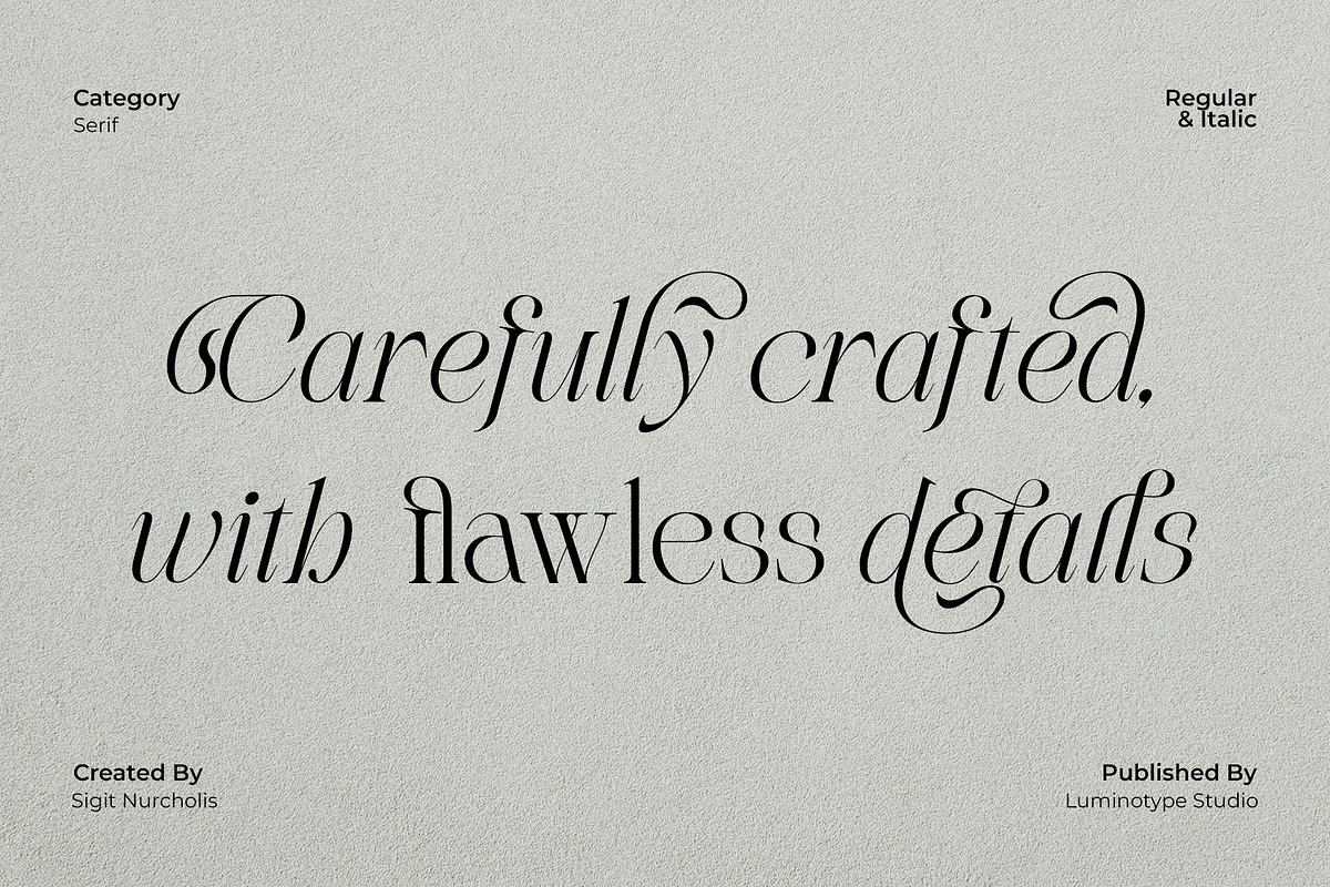 LT Rogile - Modern Serif Typeface, a Serif Font by Luminotype (Photo 9 of 20)