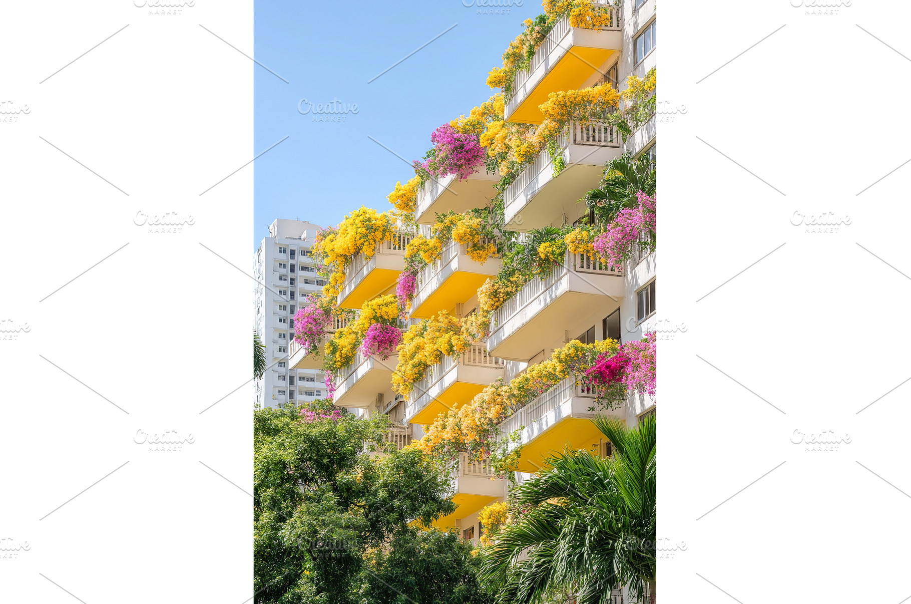 Vibrant Floral Balconies on Urban, an Architecture Photo by Lermont51