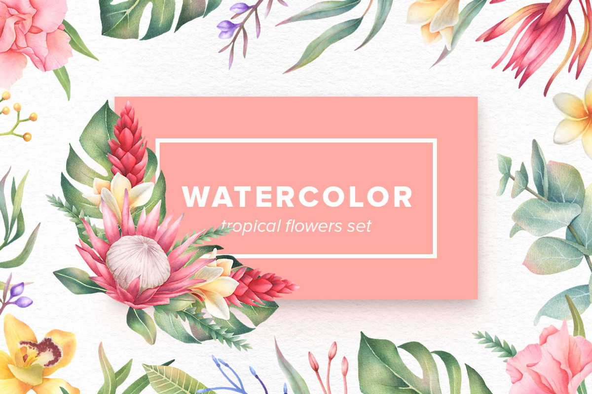 Watercolor Tropical Flowers Set, an Object Graphic by Kotulska (Photo 1 of 4)