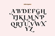 Wild Mango | Modern Serif Font, a Serif Font by KA Designs (Thumbnail 23 of 24)