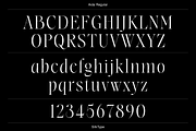Aida | 10 Font Ligature Serif, a Font by Silktype (Thumbnail 15 of 20)
