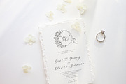 Ms. Augustine  Calligraphy Font, a Script Font by Calamar Studio (Thumbnail 4 of 15)