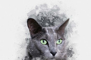 The Trendy Photo Effect Bundle, an Action Add-On by MRI STUDIO (Thumbnail 14 of 40)