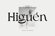 Higuen Elegant Serif, a Serif Font by ngene (Thumbnail 1 of 8)