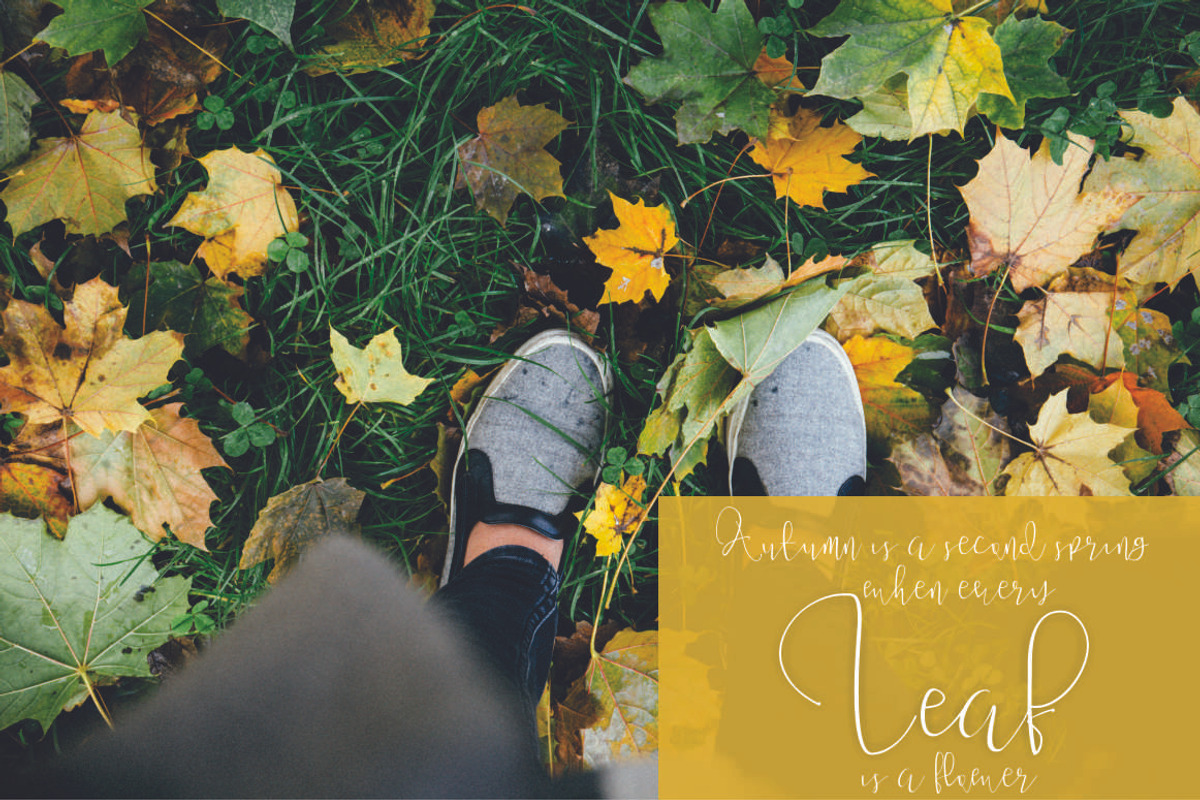 Aeipathy, a Script Font by Dira Studio (Photo 12 of 24)