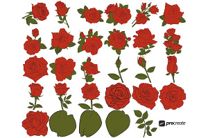 Rose Outline Set 2 Procreate Brush