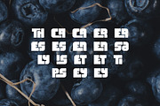 Thiket Typeface, a Font by Tugcu Design Co. (Thumbnail 3 of 4)