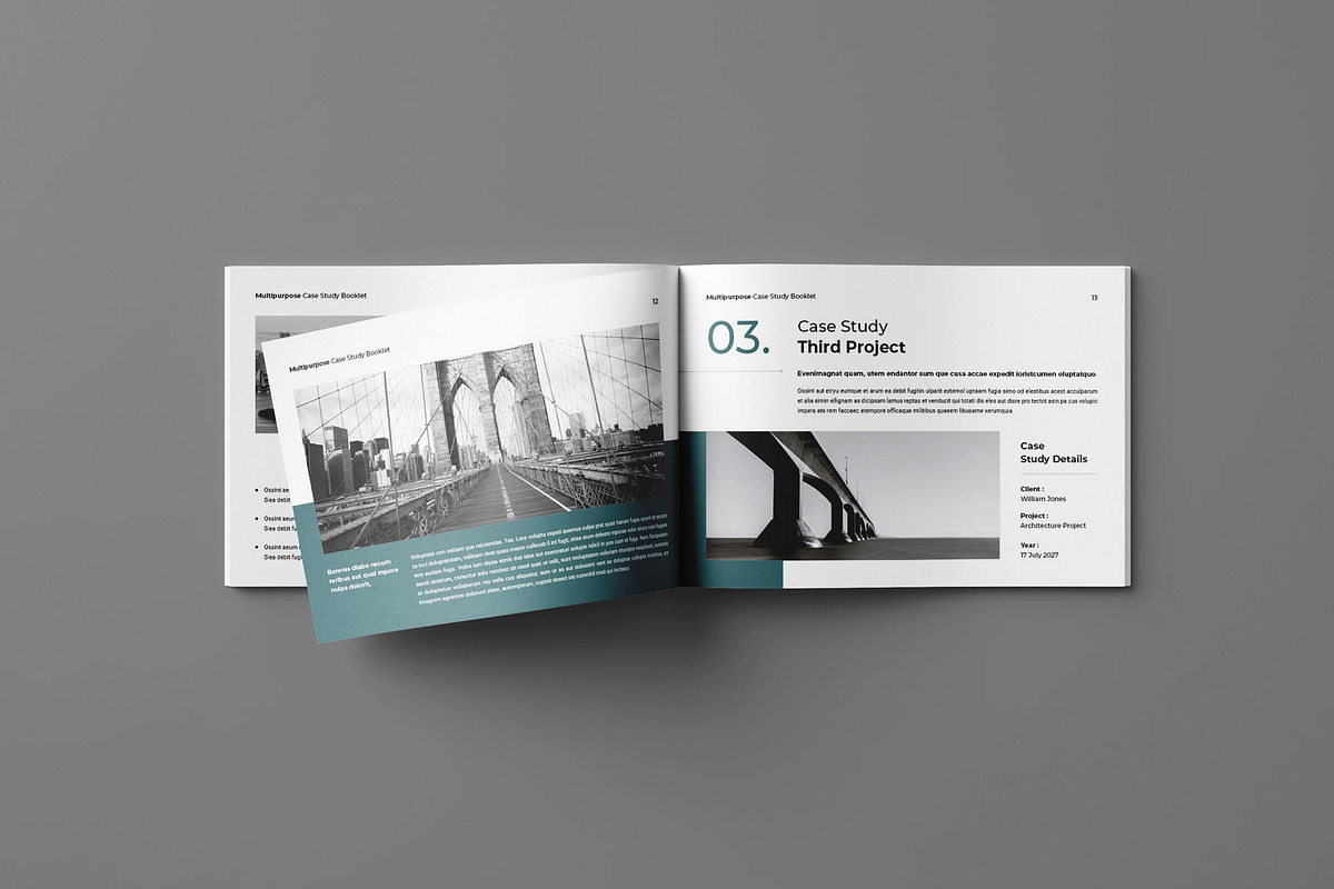 Case Study Booklet Landscape, a Brochure Template by Seeing-art (Photo 7 of 10)