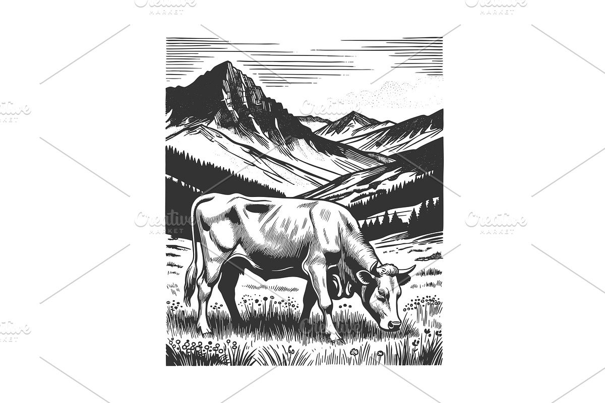 Cow Grazing in Alpine Meadow Vintage, an Animal Illustration by AlexArt