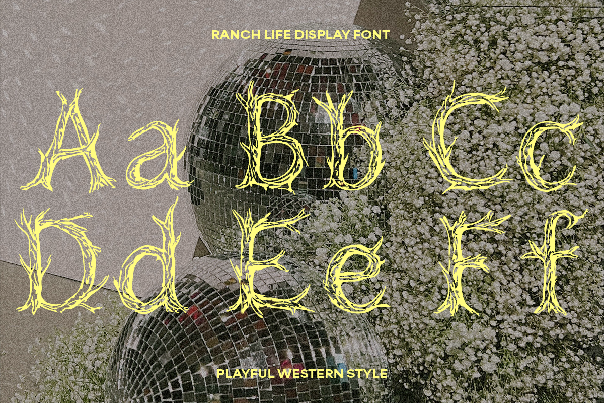 Ranch Life Western Display Font, a Handwritten Font by Sarah Baker (Photo 2 of 8)