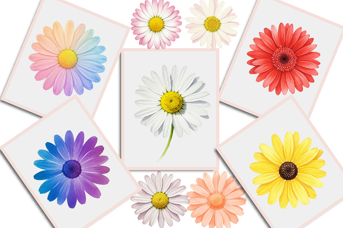 Daisy Flower Watercolor Clipart, an Illustration by Creative Art (Photo 2 of 7)
