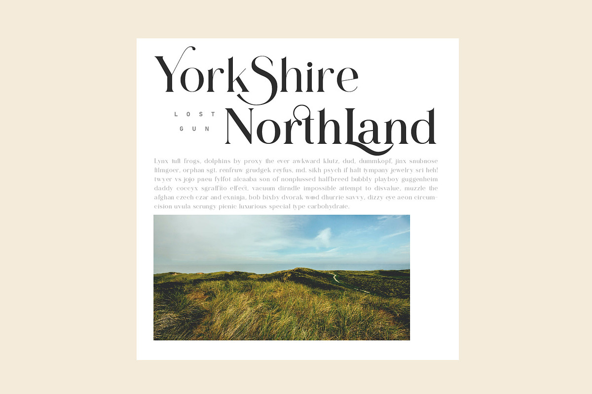 Lostgun | Discount 20%  OFF, a Serif Font by Qaratype (Photo 10 of 20)