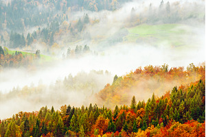 Misty autumn mountain landscape at, a Nature Photo by Nature and travel