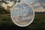 The Quietude Poetic Romantic Script, a Script Font by AnMark (Thumbnail 11 of 13)