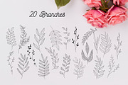 110 Hand-drawn botanical elements, a Decorative Illustration by Wander Designs (Thumbnail 6 of 8)
