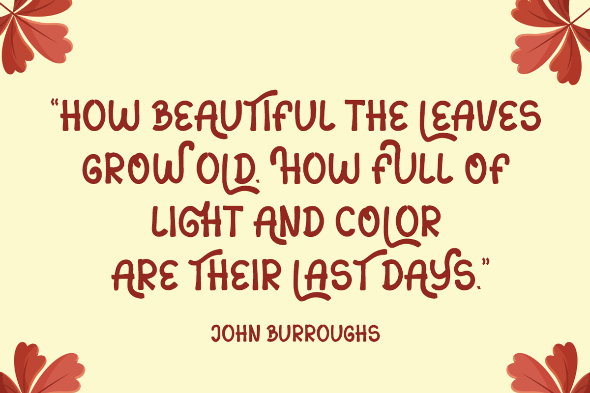 Sans Autumn - Display Font, a Sans Serif Font by Illushvara Design (Photo 2 of 8)