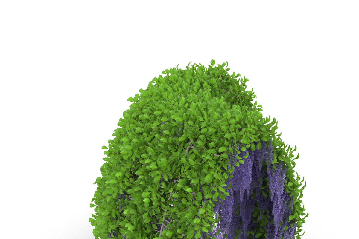 Wisteria Corridor#2, an Environmental 3D Model by AndrewWhite (Photo 4 of 8)