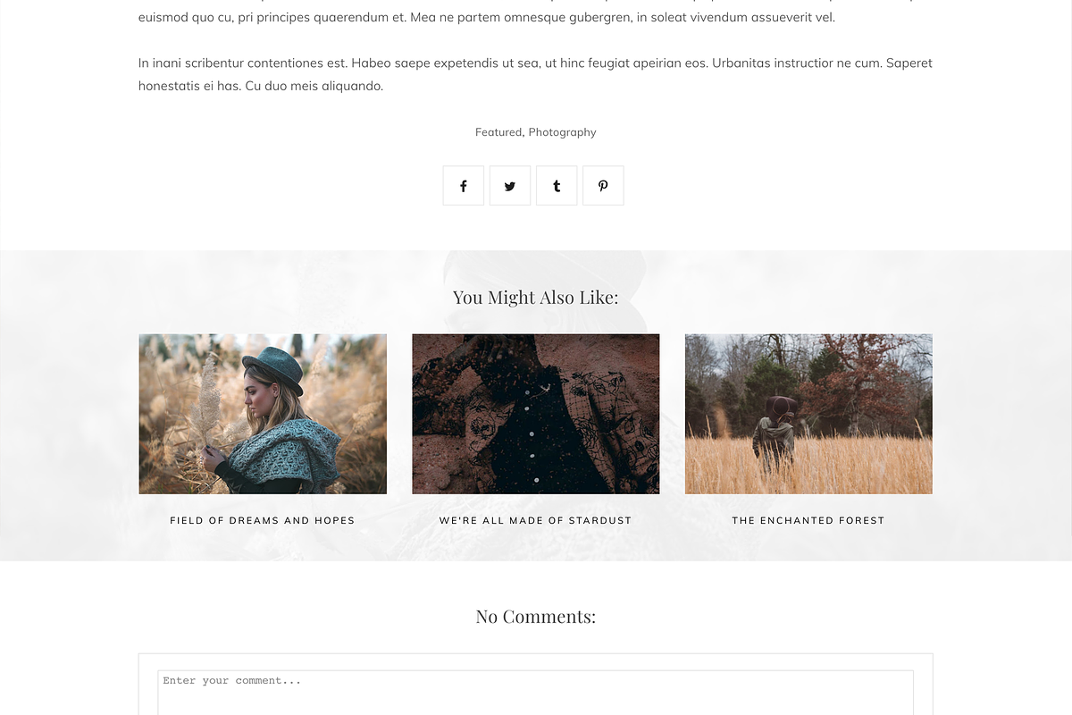 Blogger Template Responsive -Destiny, a Templates & Theme by ThemeShine (Photo 5 of 6)