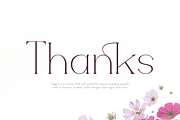 Cafgirst - Luxury Font, a Serif Font by Iqsiart Studio (Thumbnail 16 of 16)