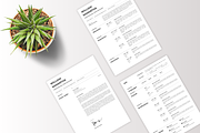 Professional Resume Template - CV, a Resume Template by Glücklich Studio (Thumbnail 2 of 5)