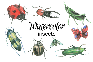 Insects Watercolor Clip Art