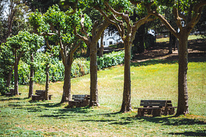 Sunny park benches in shade, a Sports & Recreation Photo by SkyNext