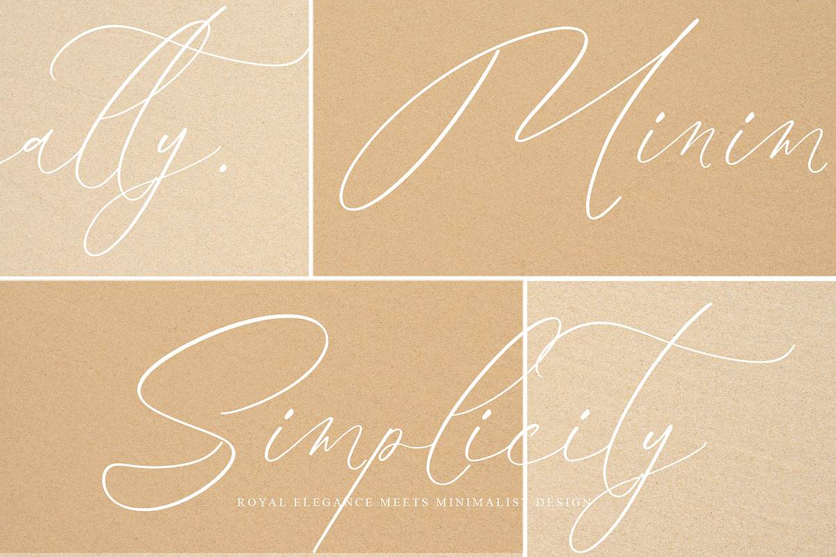 Brilliant Sculpted, a Handwritten Font by operatype.co (Photo 9 of 15)