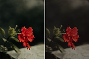 Matte Photoshop Actions, an Action Add-On by Viktor Gjokaj (Thumbnail 7 of 7)