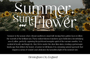 Sareyona Collection, a Serif Font by Madjack.font (Thumbnail 7 of 10)