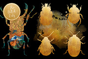 Scarabs & Beetles Clipart Set, an Animal Illustration by The Dutch Lady Designs (Thumbnail 5 of 5)